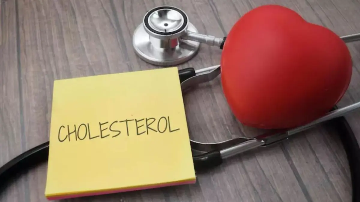 Increasing Cholesterol: આ 5 ભૂલો ચૂપચાપ વધારે છે કોલેસ્ટ્રોલ, હેલ્ધી ડાયટ અને એક્સરસાઈઝનો પણ નથી મળતો ફાયદો
