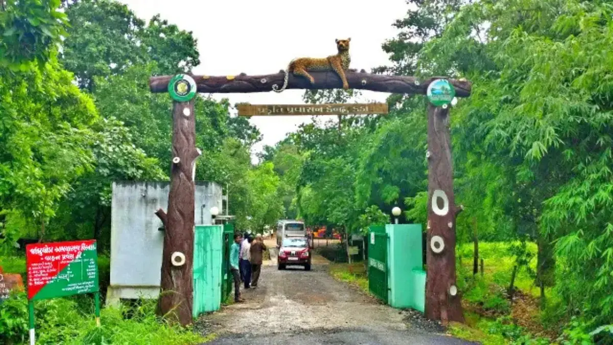 jambughoda-wildlife-sanctuary-in-gujarat-glows-after-rain-see-rainy-photos-576454