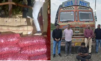 Rajkot: ડુંગળીની આડમાં ગોંડલ લઈ જવાતો રૂ. 1.04 કરોડનો વિદેશી દારૂ ભરેલો ટ્રક ઝડપાયો, દ્વારકાના ડ્રાઈવરની ધરપકડ