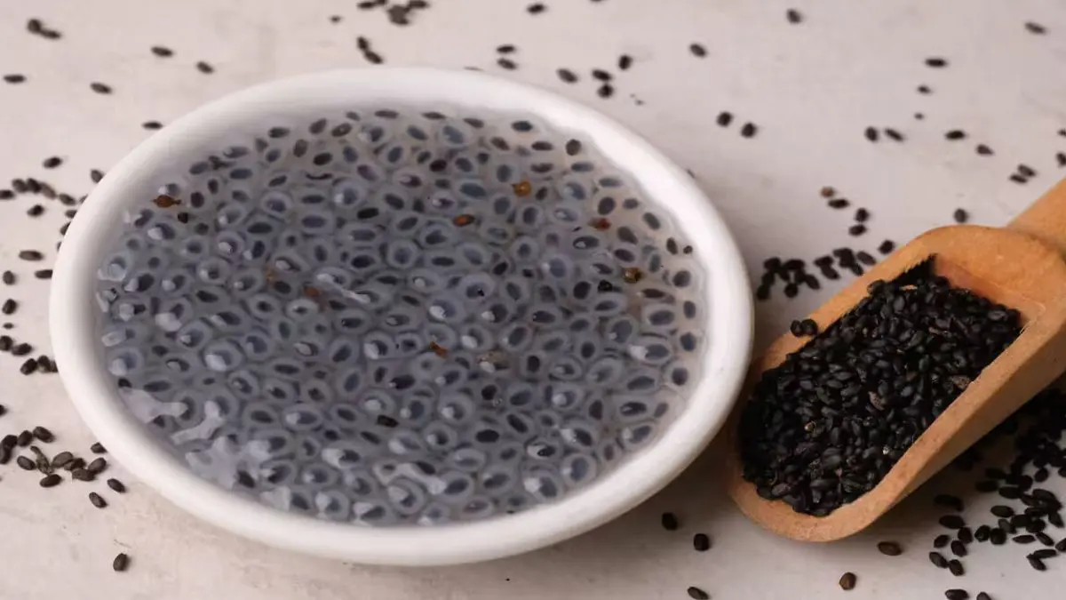 health-benefits-of-sabja-seeds-in-gujarati-563799