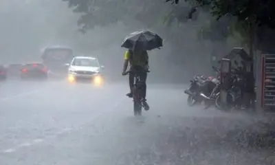 Gujarat Rain: રાજ્યમાં છેલ્લા 24 કલાકમાં 83 તાલુકામાં મેઘમહેર જોવા મળી, સૌથી વધુ વરસાદ તાપી જિલ્લામાં પડ્યો