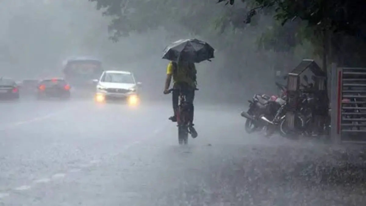 gujarat-rain-update-83-talukas-receive-rainfall-in-last-24-hours-check-rain-data-in-your-area-572893