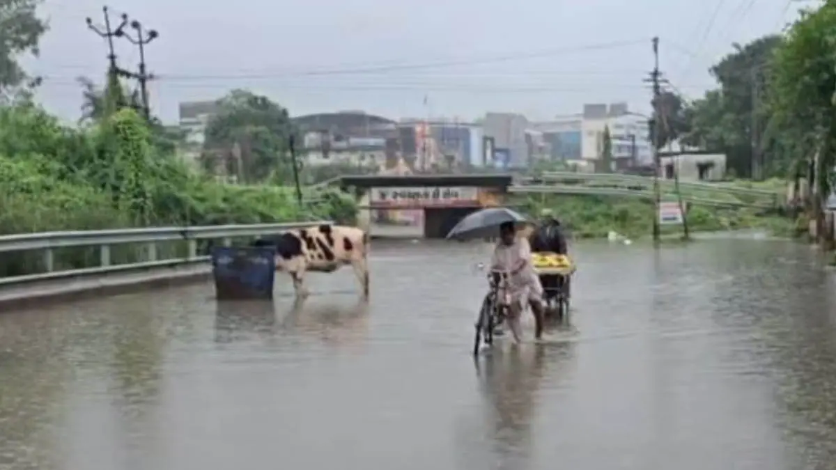 Kheda Rain: ખેડા જિલ્લામાં ધોધમાર વરસાદ, વાત્રક નદીમાં પાણીનું સ્તર વધ્યું, 10 ગામોનો સંપર્ક તૂટ્યો, જાણો ક્યાં થયો કેટલો વરસાદ