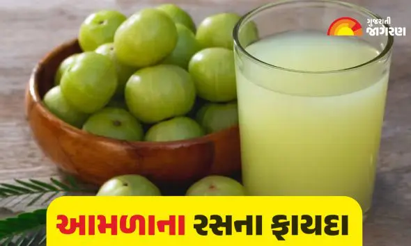 Amla Juice Recipe: ઘરે બનાવો શિયાળાનું ખાસ ઈમ્યુનિટી બૂસ્ટર ડ્રિંક, આમળાનું જ્યુસ