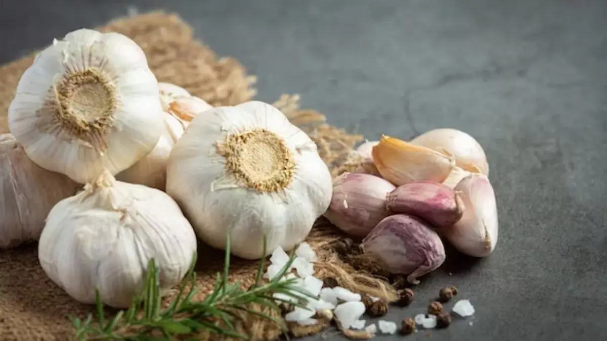 benefits-of-eating-garlic-in-empty-stomach-589350