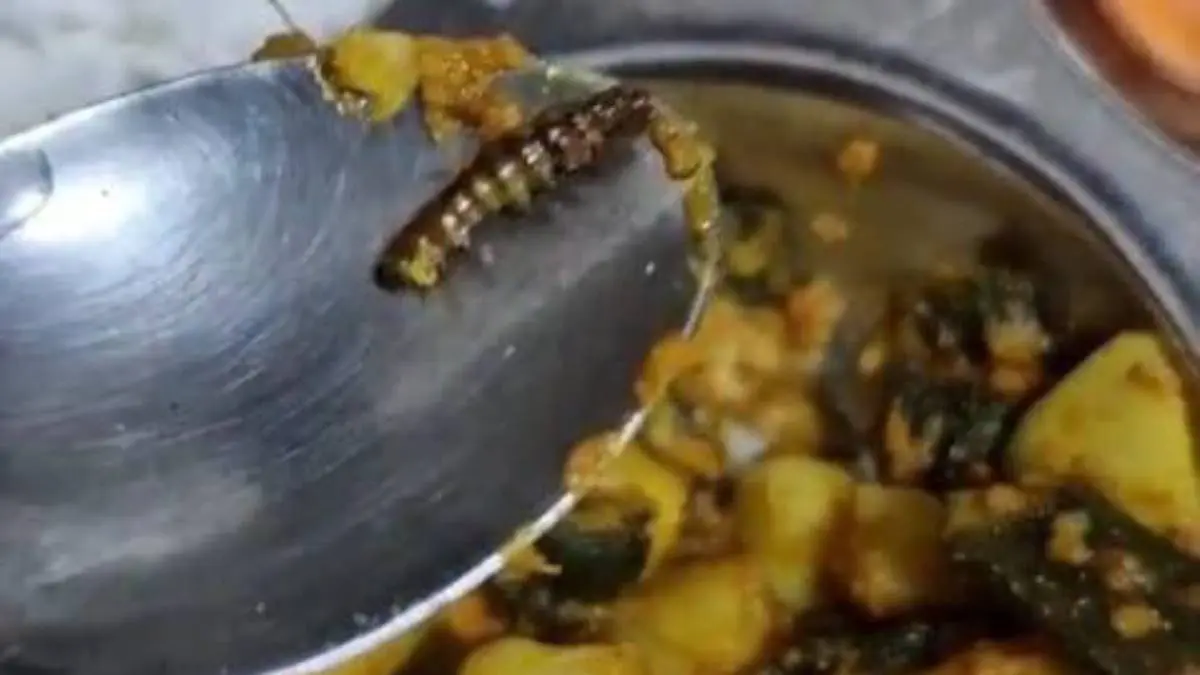 vadodara-news-insect-found-in-msu-boys-hostel-food-students-protest-578225