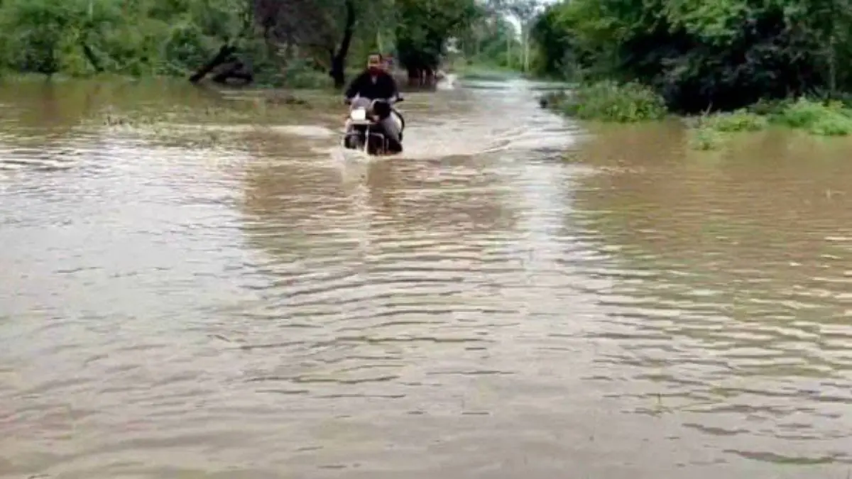 vadodara-news-dhadhar-river-overflow-flood-like-situation-in-14-villages-of-dabhoi-taluka-595075