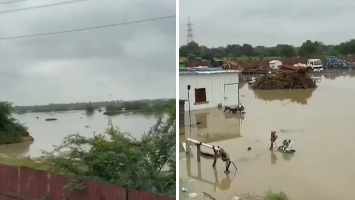 Sabarmati River Floods: સાબરમતી નદીના રૌદ્ર સ્વરૂપને લીધે 200 ગામ પ્રભાવિત, અમદાવાદના બાકરોલમાં ખેડૂતોના દૂઘી અને રિંગણાના પાકનું ધોવાણ