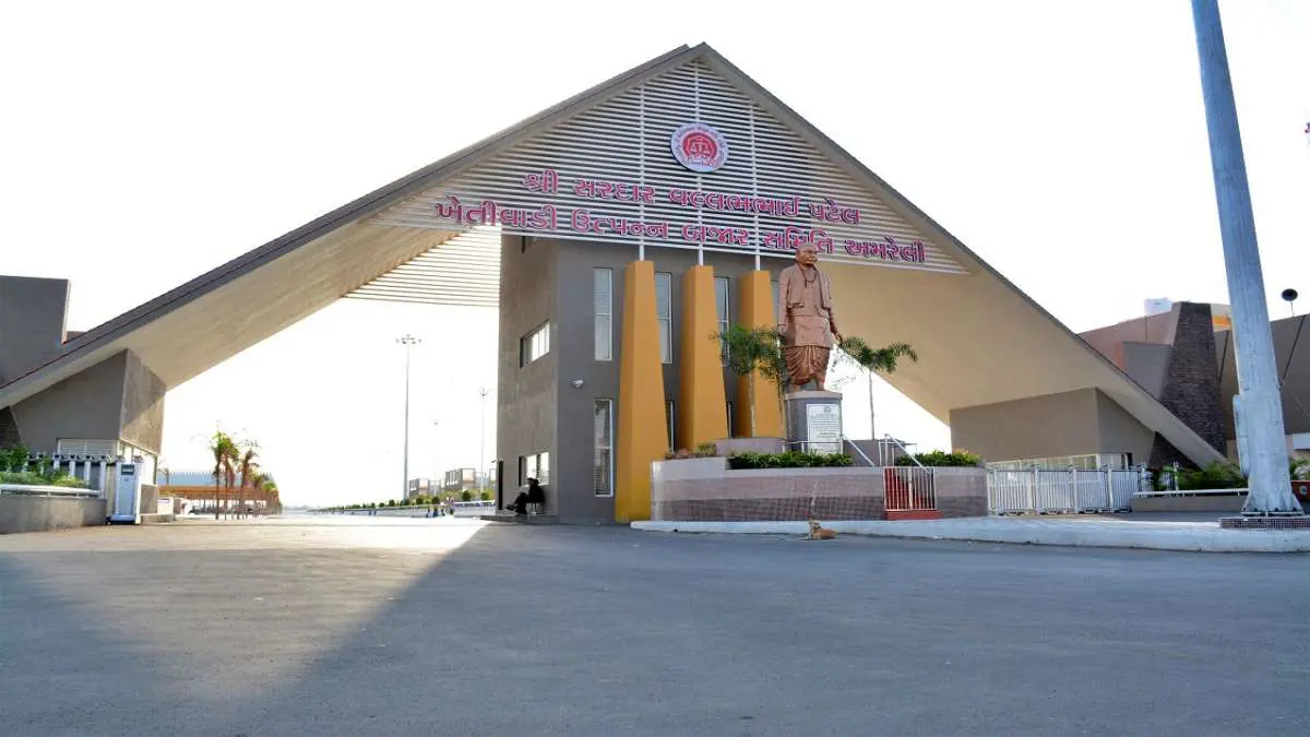 Amreli APMC: અમરેલી માર્કેટયાર્ડ તહેવારો દરમિયાન આટલા દિવસ રહેશ બંધ, નોંધી લો તારીખ