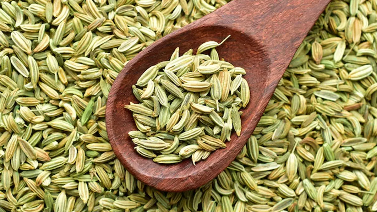Fennel Seed: વરિયાળી ચાવીને ખાવી કે તેનું પાણી પીવું જોઈએ? જાણો નિષ્ણાતો પાસેથી