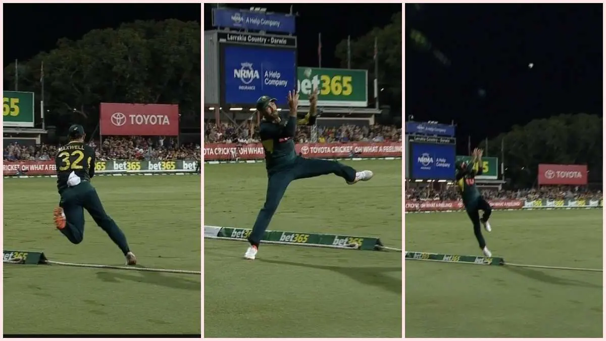 Aus vs SA: ગ્લેન મેક્સવેલે અદ્દભુત કેચ લઇને બધાને ચોંકાવી દીધા, ટીમને અપાવી શાનદાર જીત