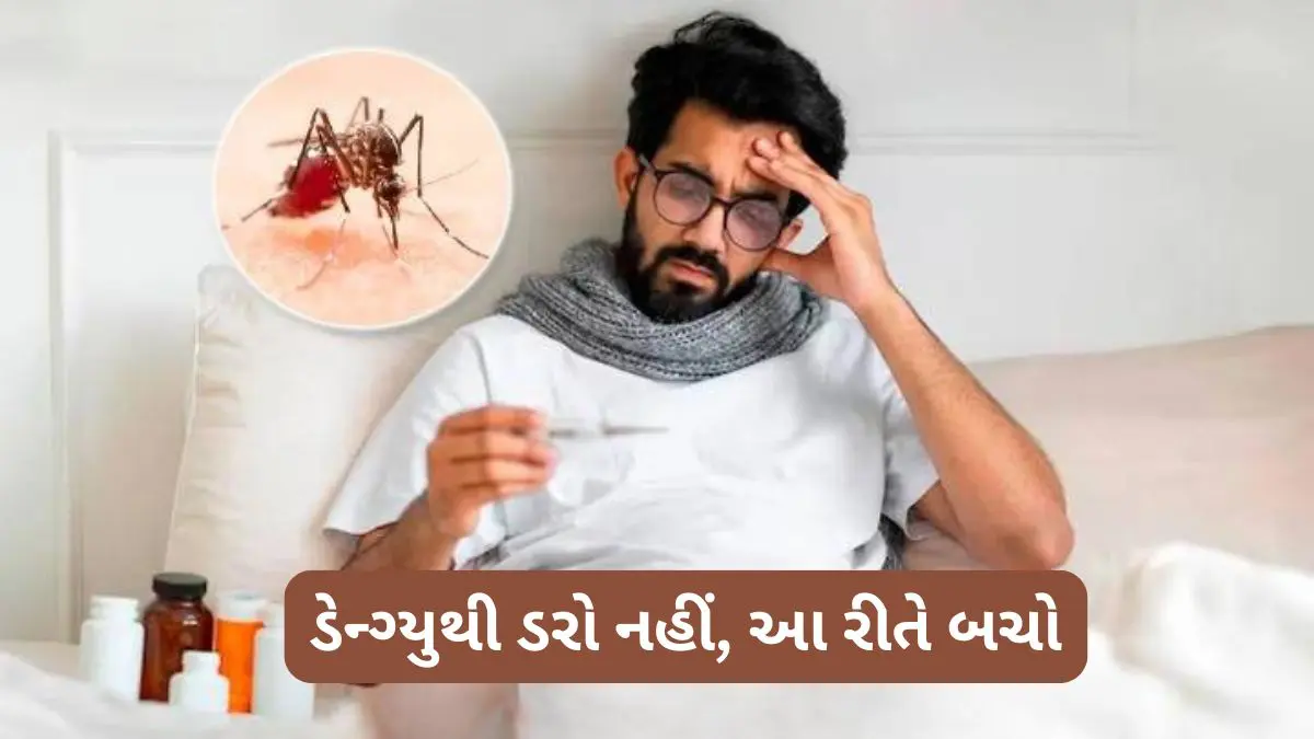 health-tips-in-gujarati-how-to-prevent-dengue-fever-signs-584172