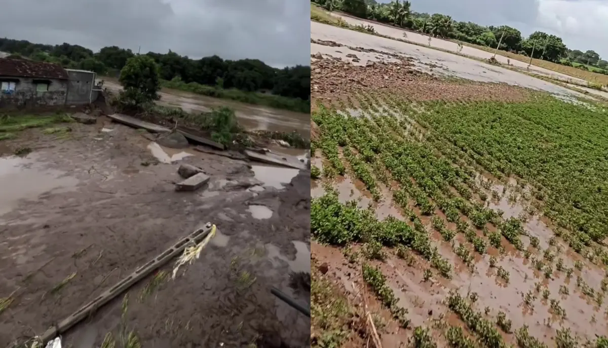 junagadh-rain-ghed-panthak-flood-due-to-heavy-rain-see-pics-589533