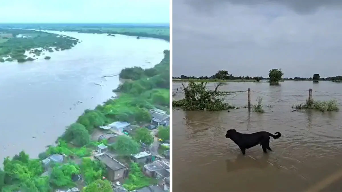 nadiad-news-increased-water-inflow-in-sabarmati-river-in-kheda-causing-problems-chaos-in-pathapura-village-592531