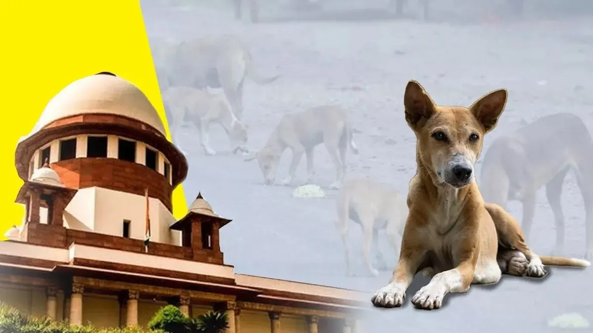 Stray Dogs Case: કોઈને કૂતરા પ્રત્યે નફરત નથી,પરંતુ કરડવાના અને મોતના આંકડા જુઓ… રખડતા કૂતરા મામલે સુપ્રીમ કોર્ટમાં સુનાવણી