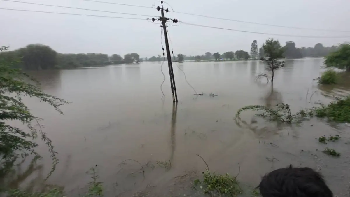 kheda-news-shedhi-river-overflow-due-to-heavy-rain-water-logging-in-farm-594400