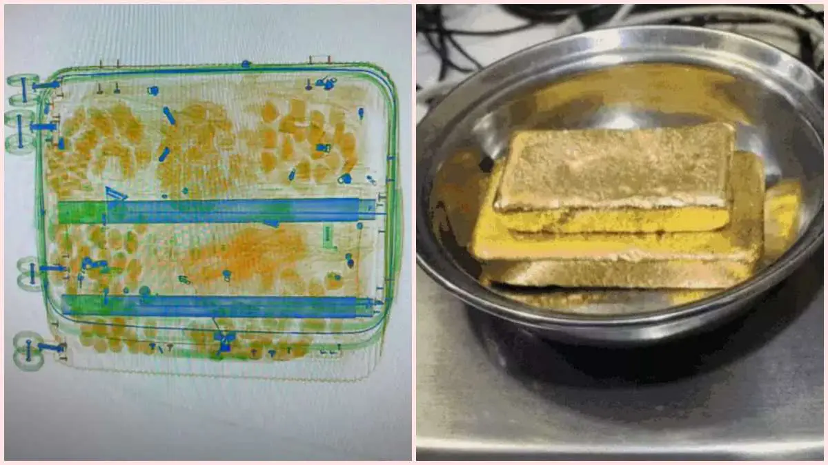 gold-worth-rs-36-59-lakhs-found-from-passenger-arriving-from-dubai-at-ahmedabad-airport-594024