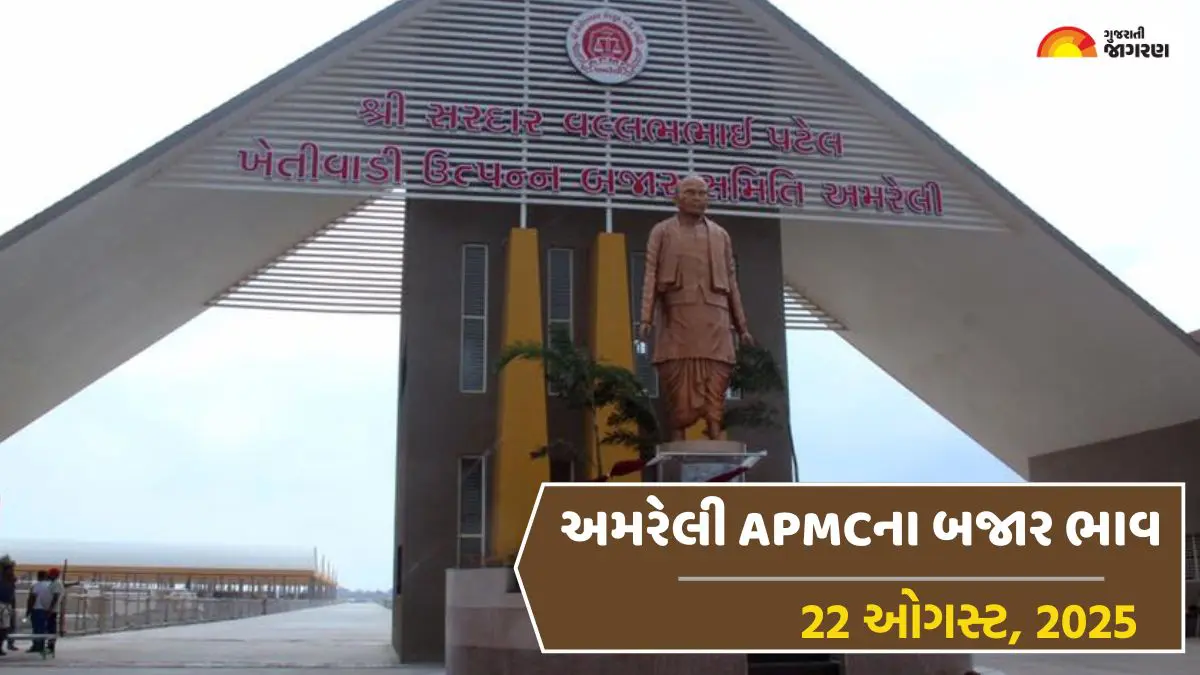 Amreli Market Yard Bhav Today 22 August 2025 | અમરેલી માર્કેટ યાર્ડ ના ભાવ| અમરેલી માર્કેટિંગ યાર્ડ આજના બજાર ભાવ | Amreli APMC Price Today | Amreli APMC Rate Today