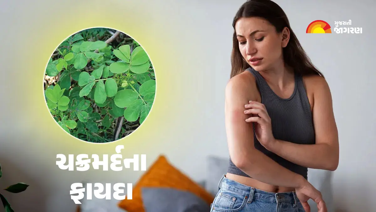 fungal-infections-during-monsoon-chakramard-benefits-590718