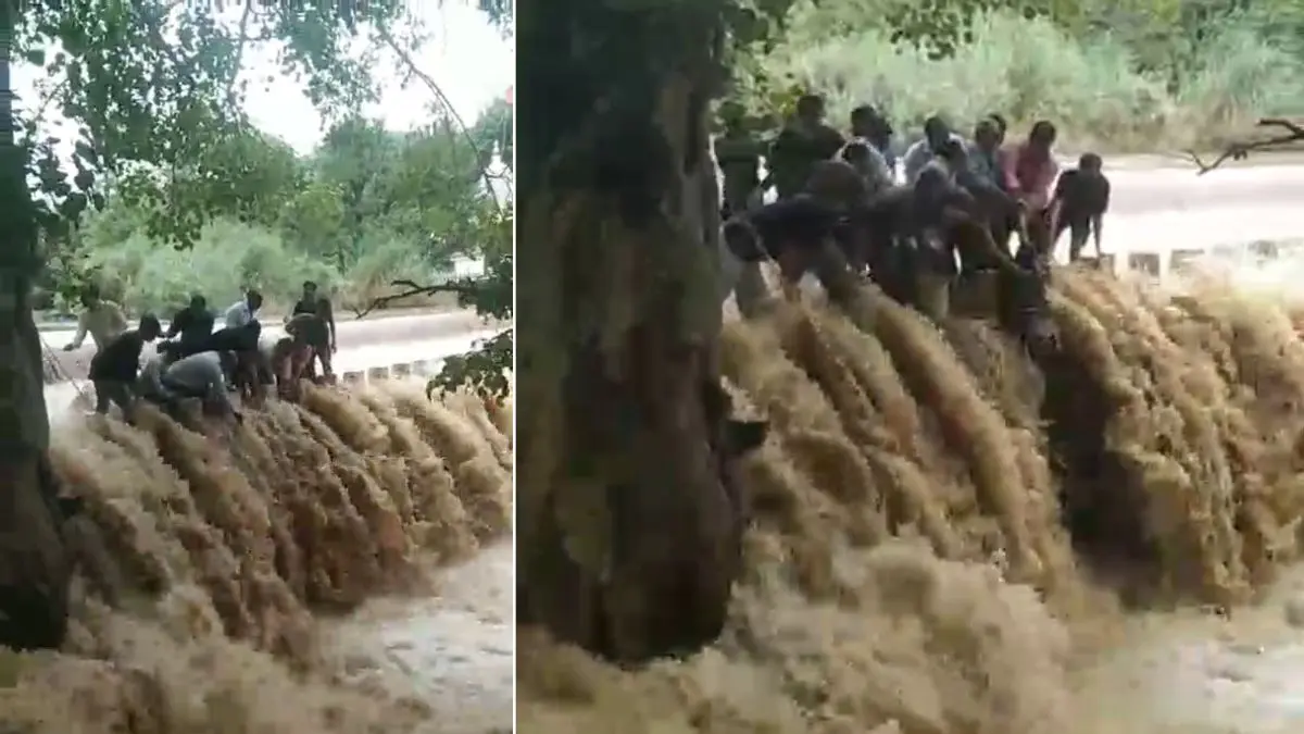 devbhoomi-dwarka-news-forest-department-and-locals-save-woman-from-floodwaters-near-bhanvad-589381