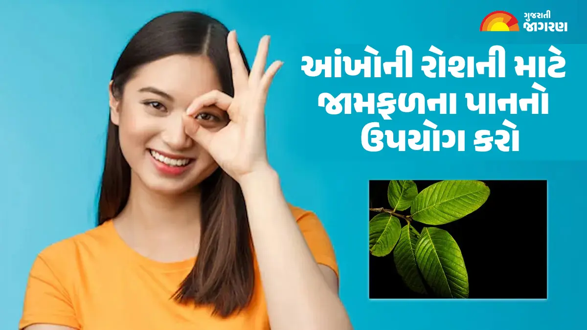 how-to-use-guava-leaves-for-eyesight-learn-from-experts-591240
