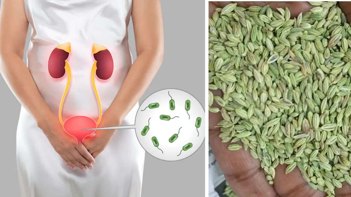 saunf-benefits-fennel-provides-relief-from-urinary-problems-know-its-benefits-and-how-to-consume-it-593825