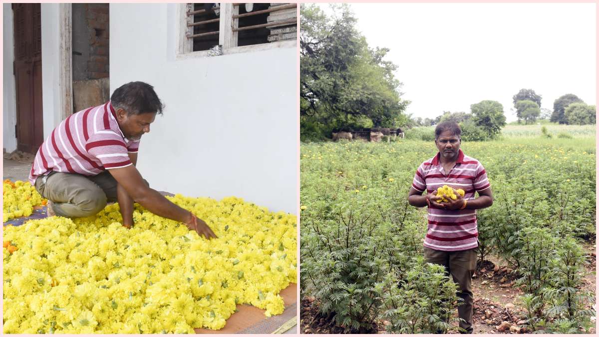 a-farmer-from-bharsada-village-in-dahod-district-cultivated-galgota-through-natural-farming-590849