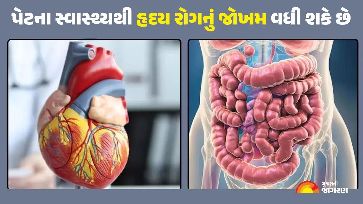 poor-gut-health-can-increase-the-risk-of-heart-disease-identify-deteriorating-digestion-with-these-symptoms-594459