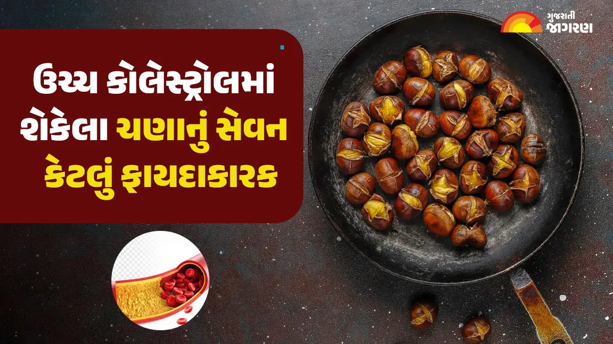 how-beneficial-is-consuming-roasted-chickpeas-for-high-cholesterol-learn-from-experts-591249