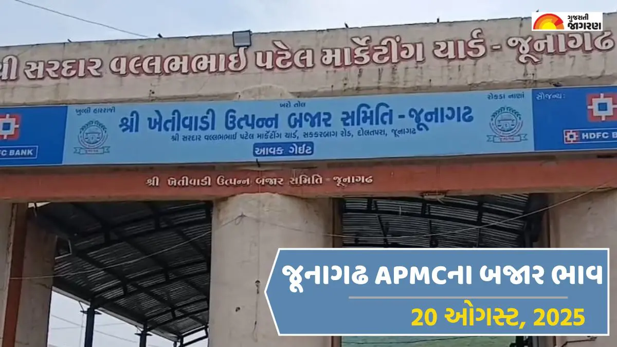 Junagadh Market Yard Bhav Today 20 August 2025 | જૂનાગઢ માર્કેટ યાર્ડ ના ભાવ| જૂનાગઢ માર્કેટિંગ યાર્ડ આજના બજાર ભાવ | Junagadh APMC Price Today | Junagadh APMC Rate Today