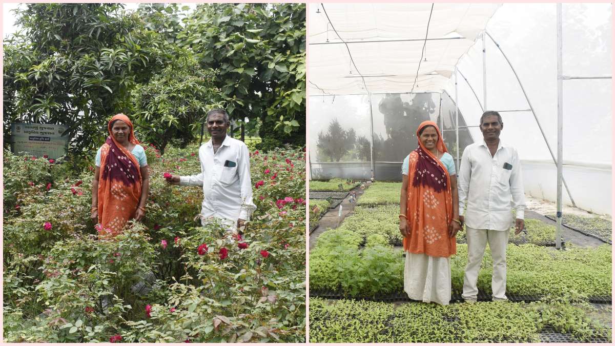 learn-story-of-a-progressive-farmer-from-limkheda-who-earns-lakhs-of-rupees-annually-through-cow-based-natural-farming-581406