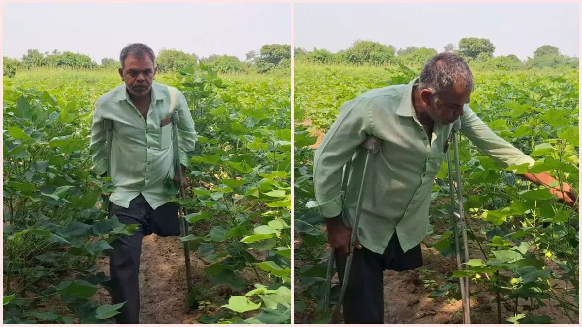 Agriculture News: સિદ્ધપુરના આંકવી ગામના દિવ્યાંગ ખેડૂત શૈલેષભાઈ પટેલ પ્રાકૃતિક ખેતી કરીને વર્ષે મેળવે છે અઢળક આવક