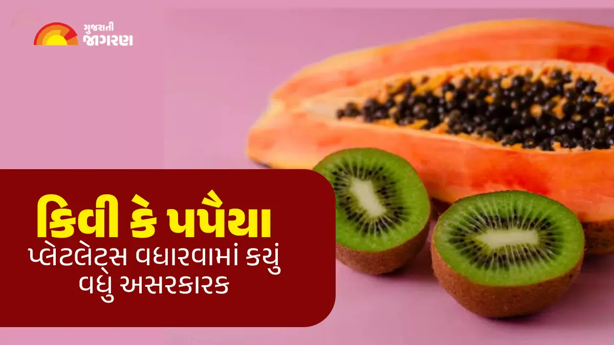કિવી કે પપૈયા; પ્લેટલેટ્સ વધારવામાં કયું વધુ અસરકારક છે? અહીં જાણો દરેક પ્રશ્નનો જવાબ