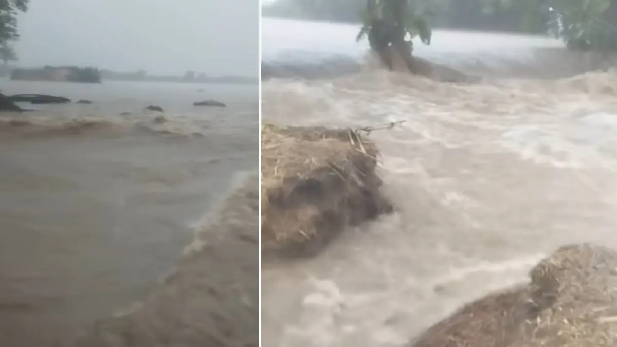 junagadh-rains-flood-like-situation-in-mendarda-after-10-inches-in-4-hours-widespread-waterlogging-588582