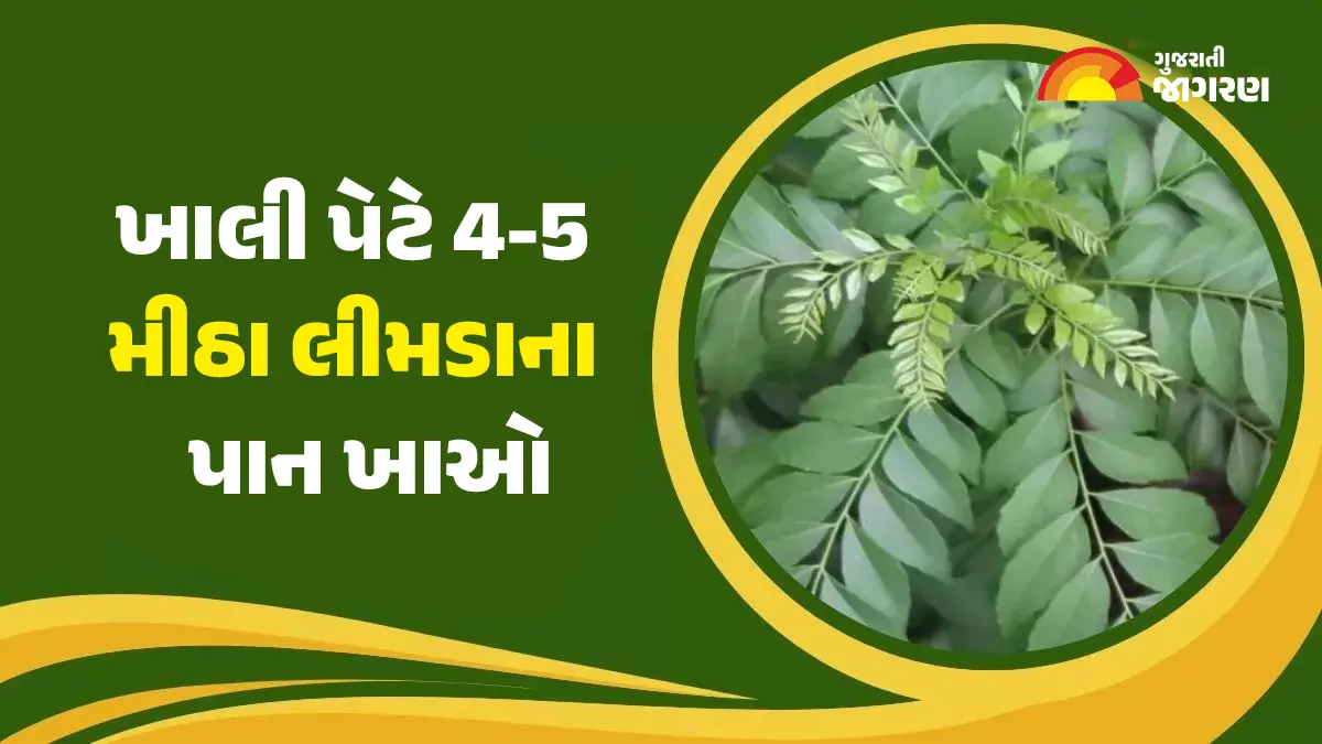 સવારે ખાલી પેટે 4-5 મીઠા લીમડાના પાન ખાઓ, તમને 6 અદ્ભુત સ્વાસ્થ્ય લાભો જોવા મળશે