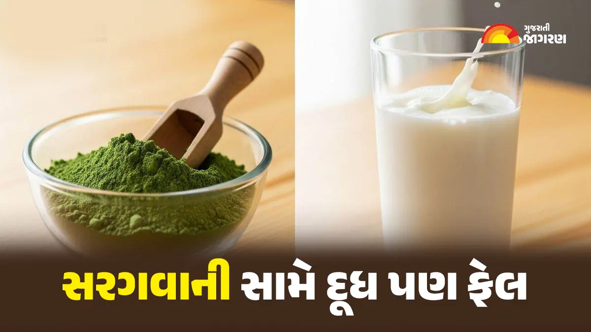 does-sargava-have-17-times-more-calcium-than-milk-include-this-in-your-diet-for-strong-bones-594449