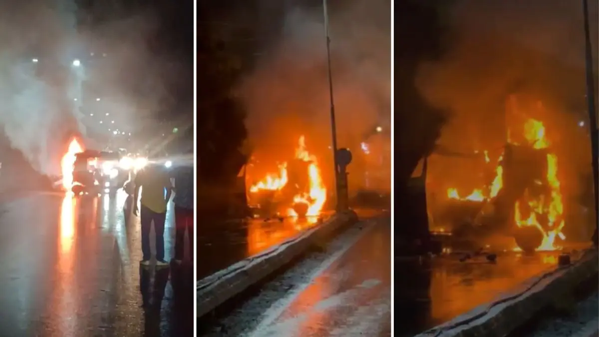 navsari-news-cng-rickshaw-catches-fire-in-bilimora-driver-jumps-to-safety-588138