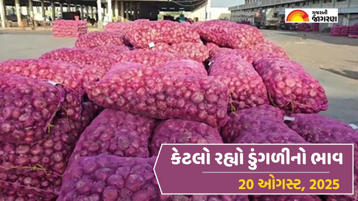 Onion Price Today in Gujarat, August 20, 2025: પાદરામાં ડુંગળીનો ઉંચો ભાવ 420 રૂપિયા સુધી બોલાયો, જાણો 16 યાર્ડના ભાવ
