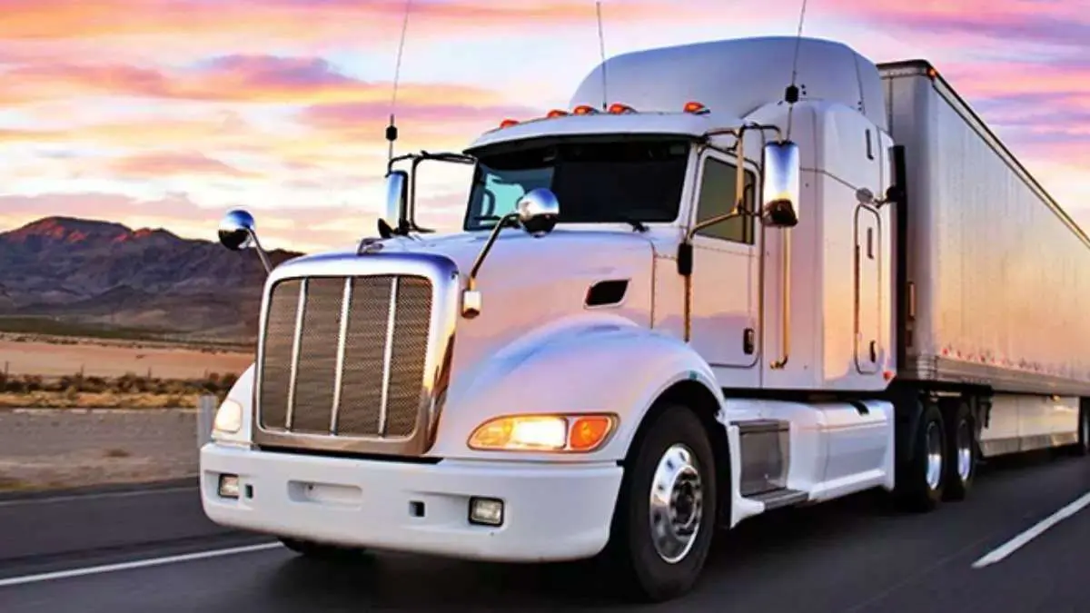 america-truck-accident-punjabi-drivers-livelihood-in-danger-license-suspended-591386