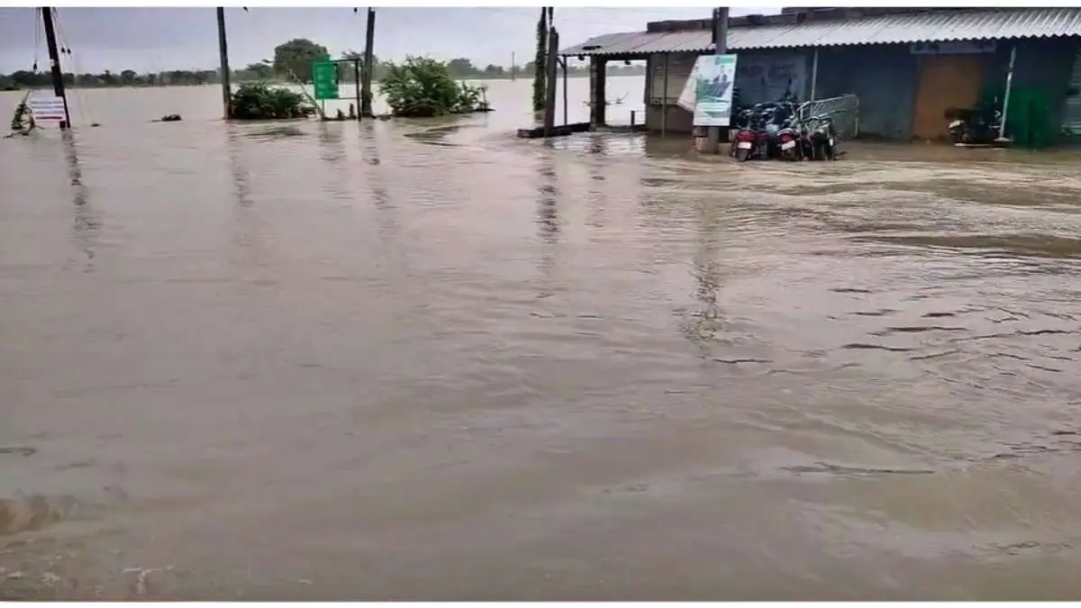 Gujarat Rain: સૌરાષ્ટ્ર પંથકમાં ભારે વરસાદના કારણે જૂનાગઢ અને ગીર સોમનાથના મોટા ભાગના ડેમ થયા ઓવરફ્લો
