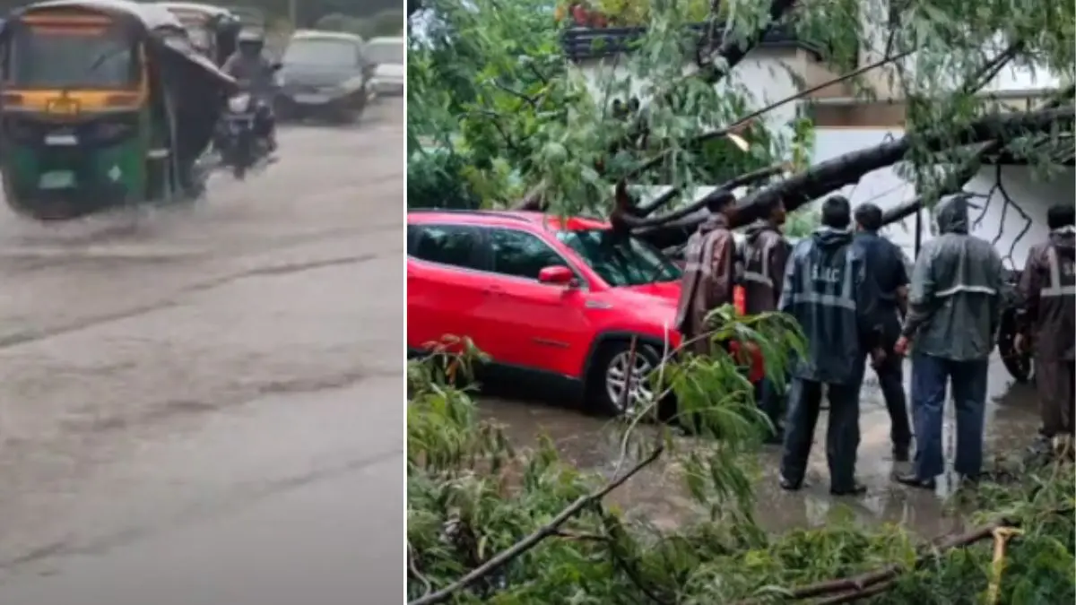 surat-rains-udhna-navsari-road-flooded-trees-fall-traffic-disrupted-591053