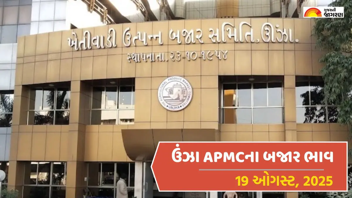 unjha-apmc-aaj-na-bajar-bhav-19-august-2025-588242