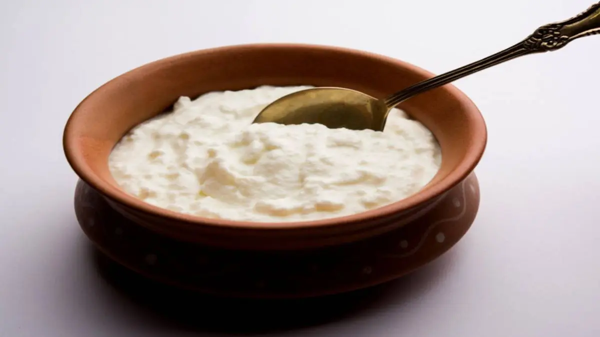 curd-and-sugar-before-every-auspicious-work-know-the-science-behind-the-tradition-and-health-benefits-588261