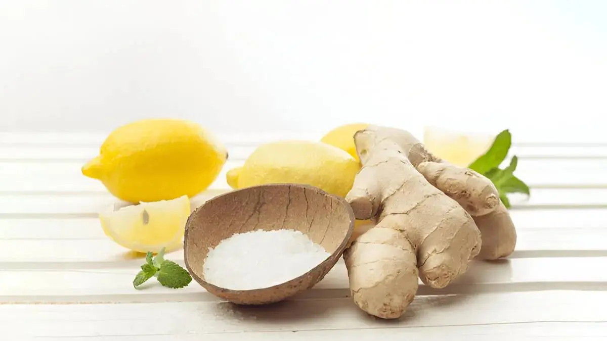 health-tips-in-gujarati-homemade-digestive-tonic-ginger-rock-salt-and-lemon-juice-before-meals-588942