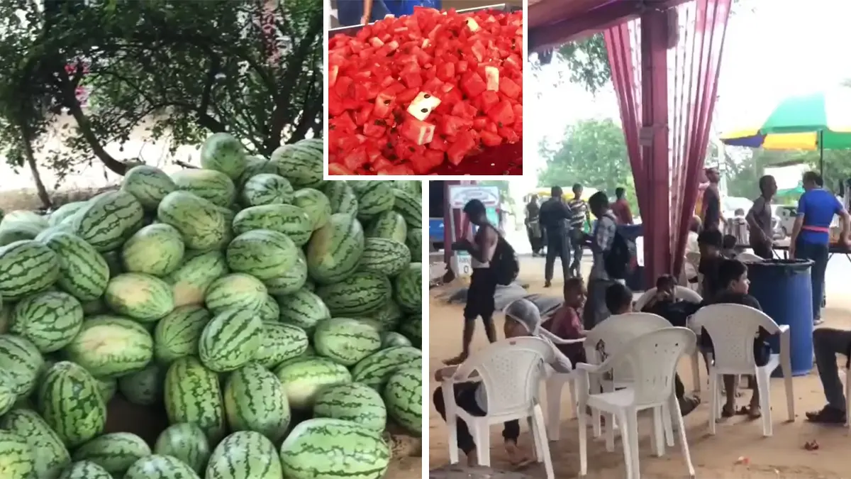 ambaji-bhadarvi-poonam-2025-ahmedabad-youth-serve-20-tons-of-watermelons-to-pilgrims-595972