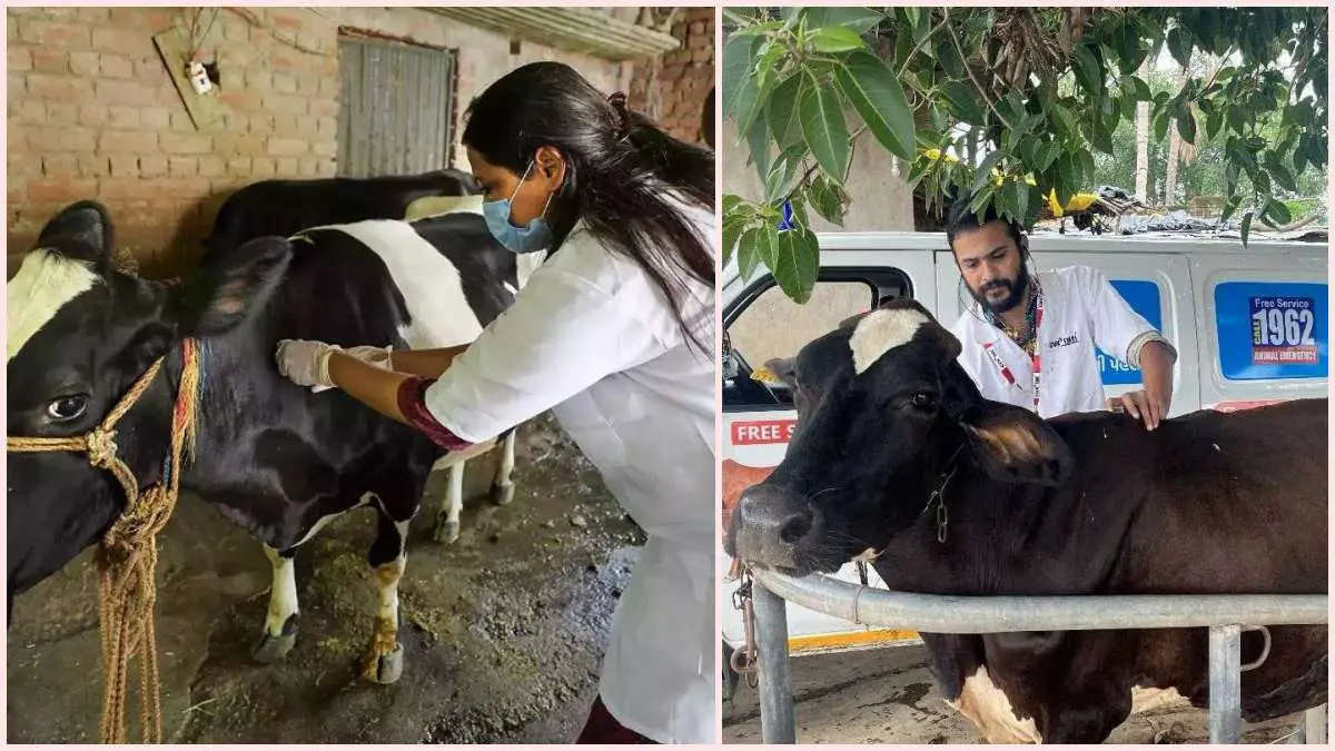 approval-has-been-given-to-establish-200-new-permanent-veterinary-hospitals-to-further-strengthen-veterinary-services-in-gujarat-600666