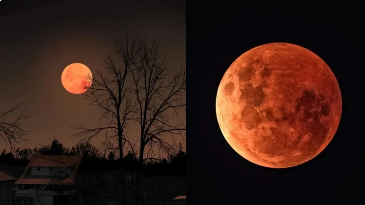 chandra-grahan-grah-nakshatra-blood-moon-2025-these-3-zodiac-signs-are-set-for-a-change-in-fortune-599115
