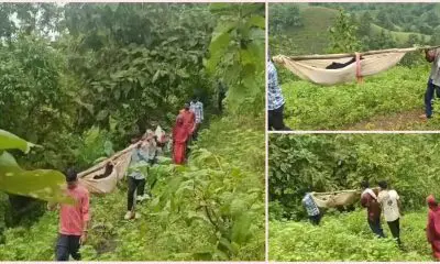 Chhota Udepur: છોટાઉદેપુરના તુરખેડામા રસ્તાના અભાવે ગર્ભવતી મહિલાનું મોત થયું, પ્રસૂતાને 5 કિમી સુધી ઝોળીમાં લઇ જવાઇ હતી