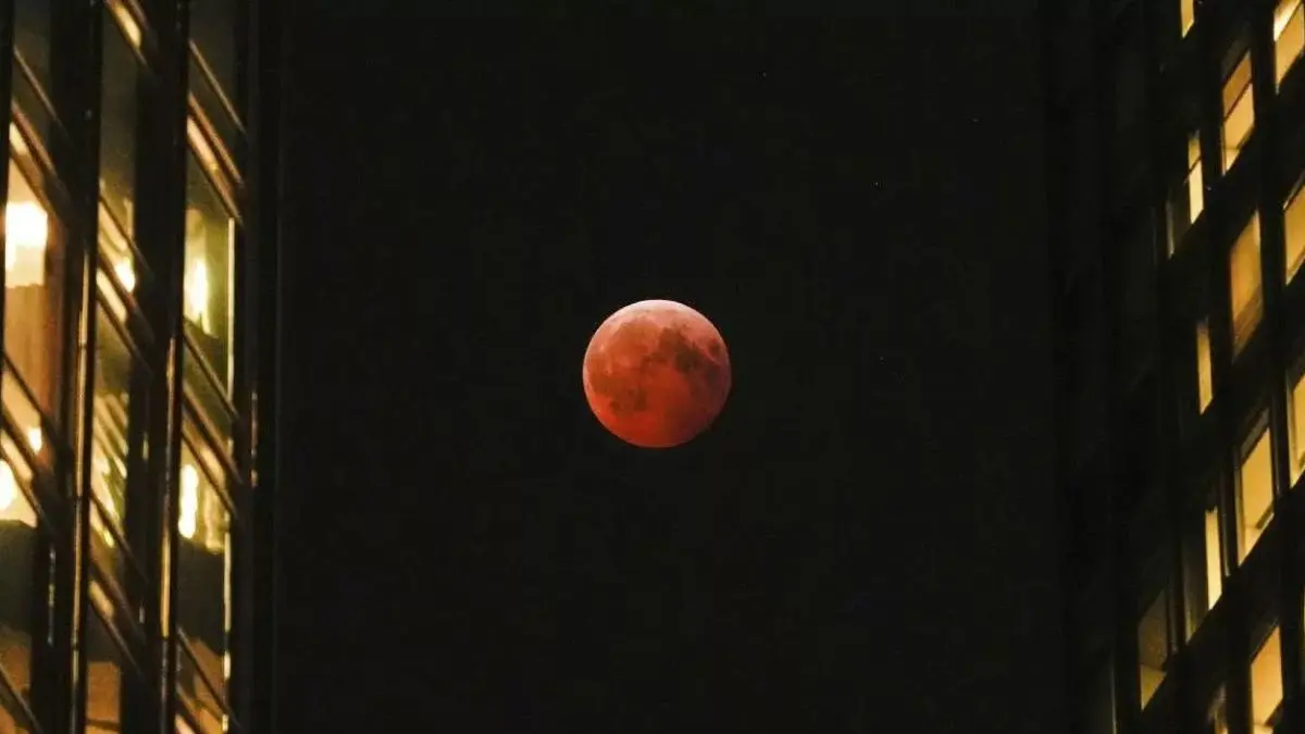 chandra-grahan-2025-photos-the-last-lunar-eclipse-of-this-year-see-the-amazing-views-of-the-sky-here-599156