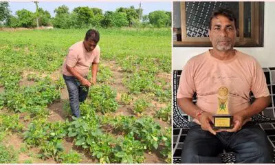 jitendra-patel-a-farmer-from-kanesara-village-in-siddhapur-taluka-adopted-natural-farming-595273